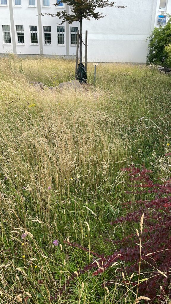 Home Kameradenkreis Fallschirmjägerbataillon/Luftsturmregiment40